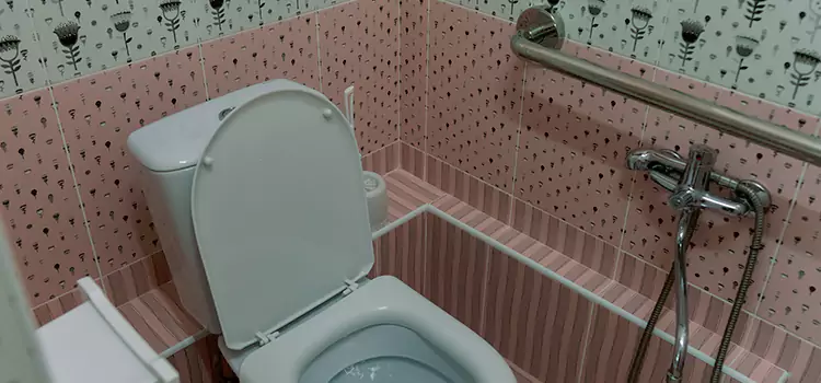 Meeting Diverse Needs With Accessible Restroom Solutions in Fitchburg, WI